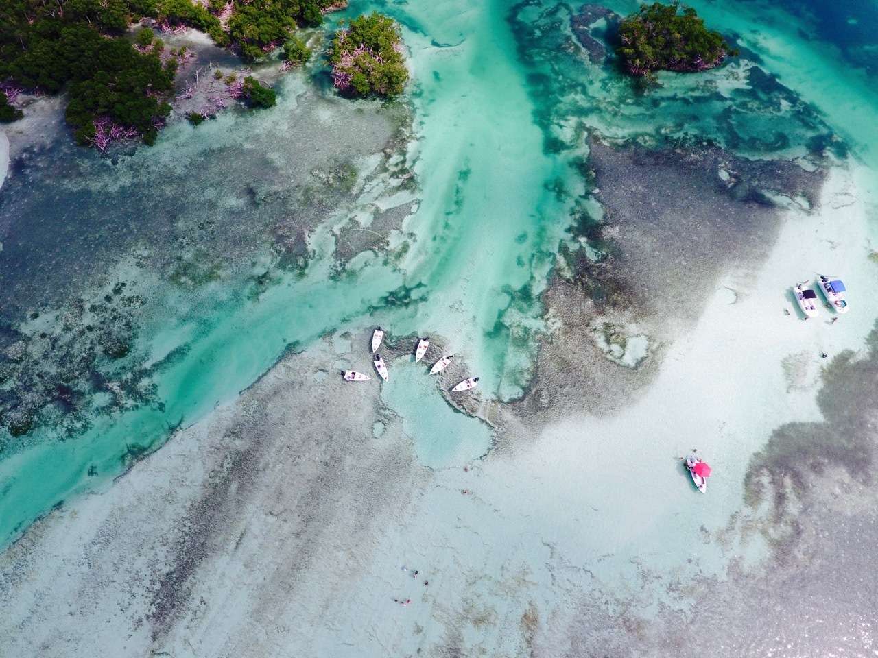 Galería de fotos para redes