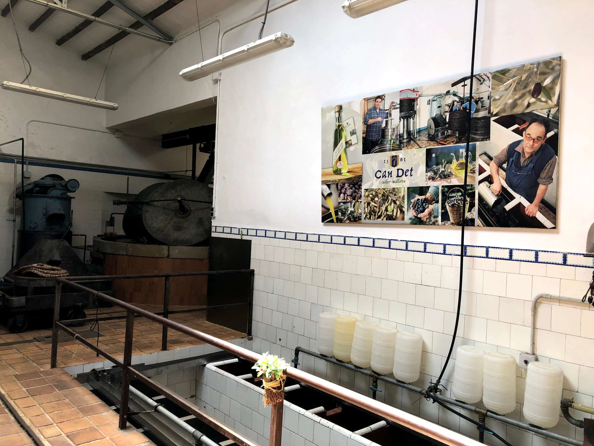 Galería de fotos para redes