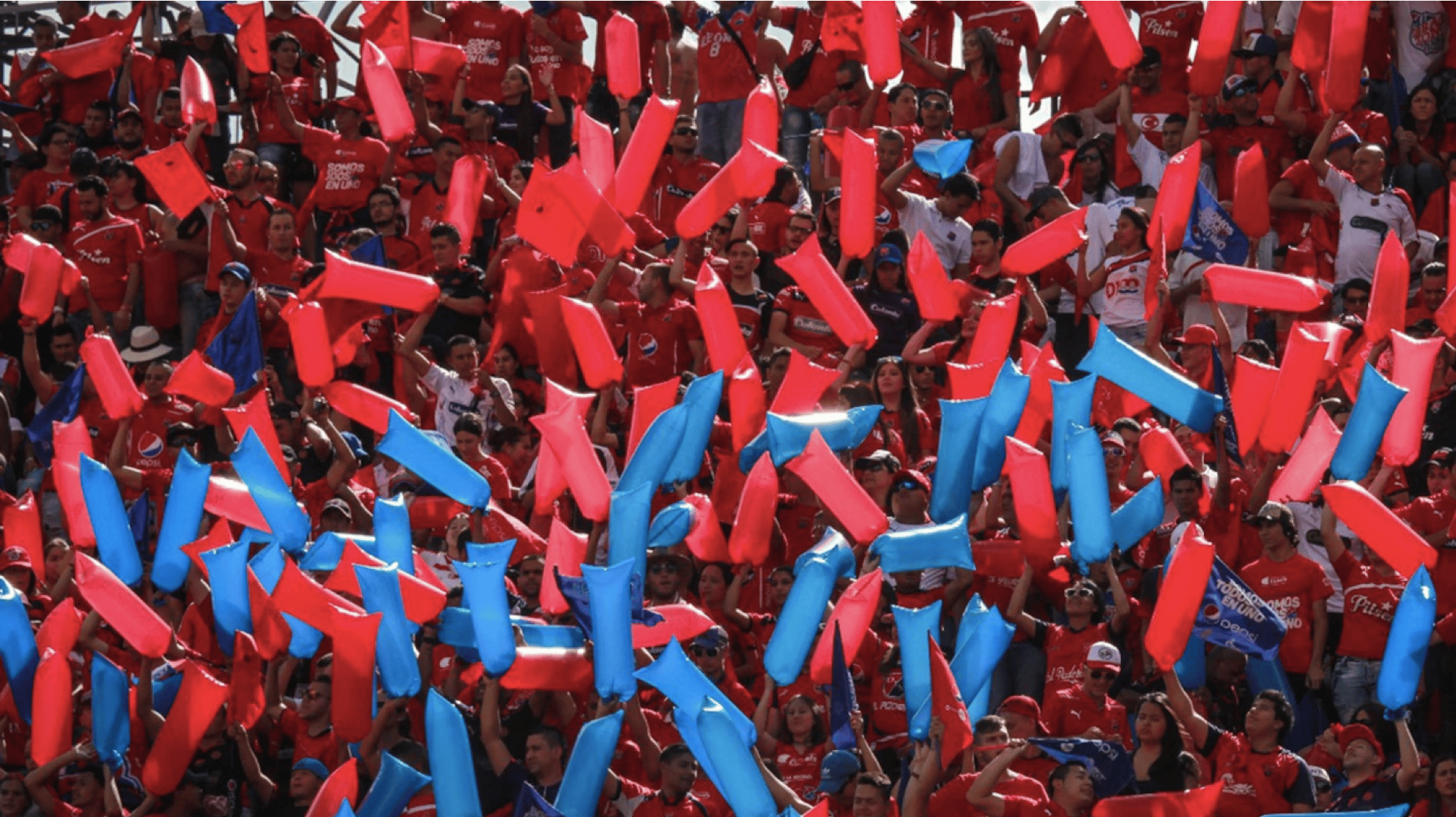 Galería de fotos para redes