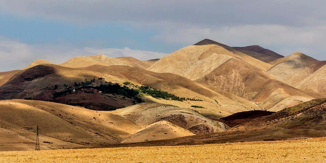 Colagem de mídia