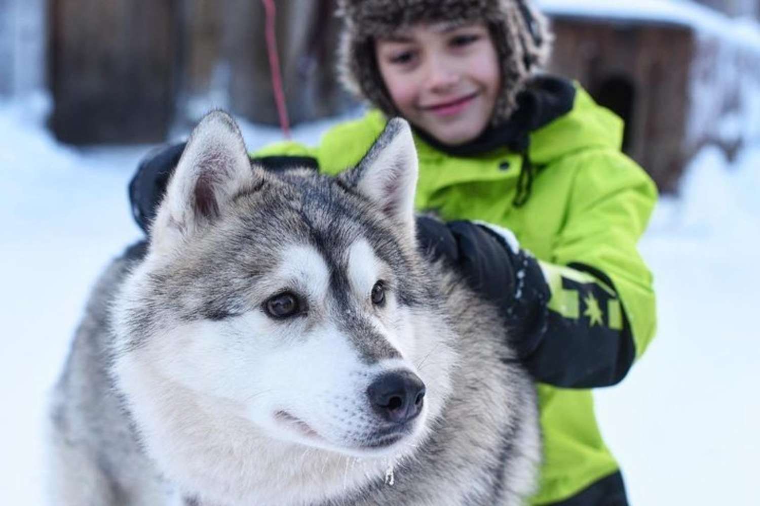 Медиаколлаж