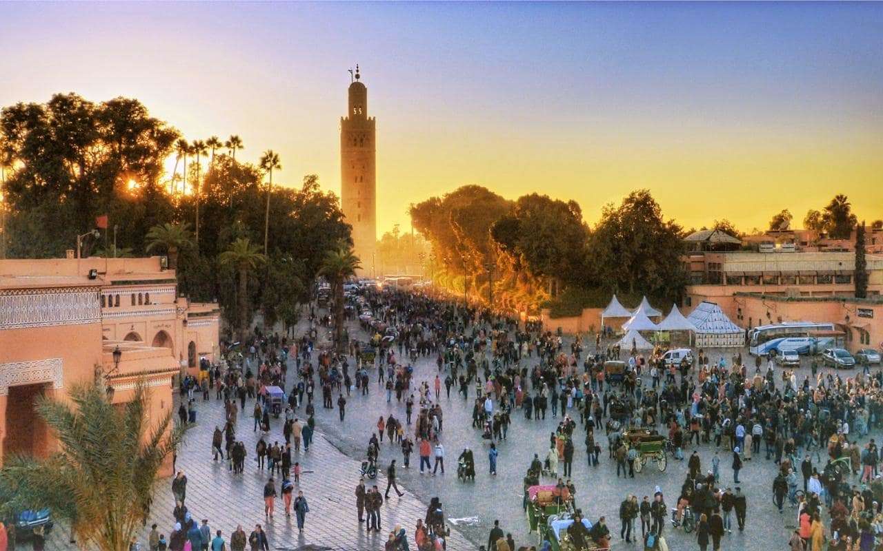 Galería de fotos para redes