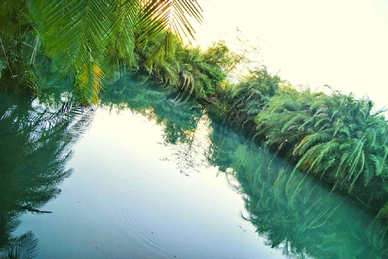Colagem de mídia