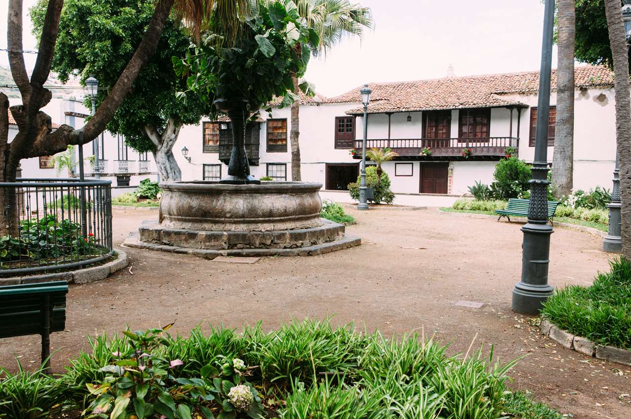 Galería de fotos para redes