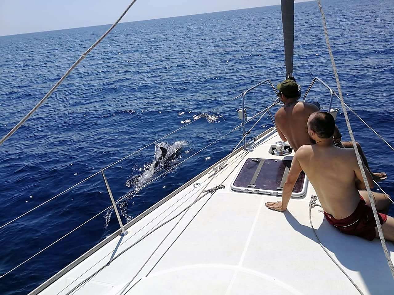 Galería de fotos para redes