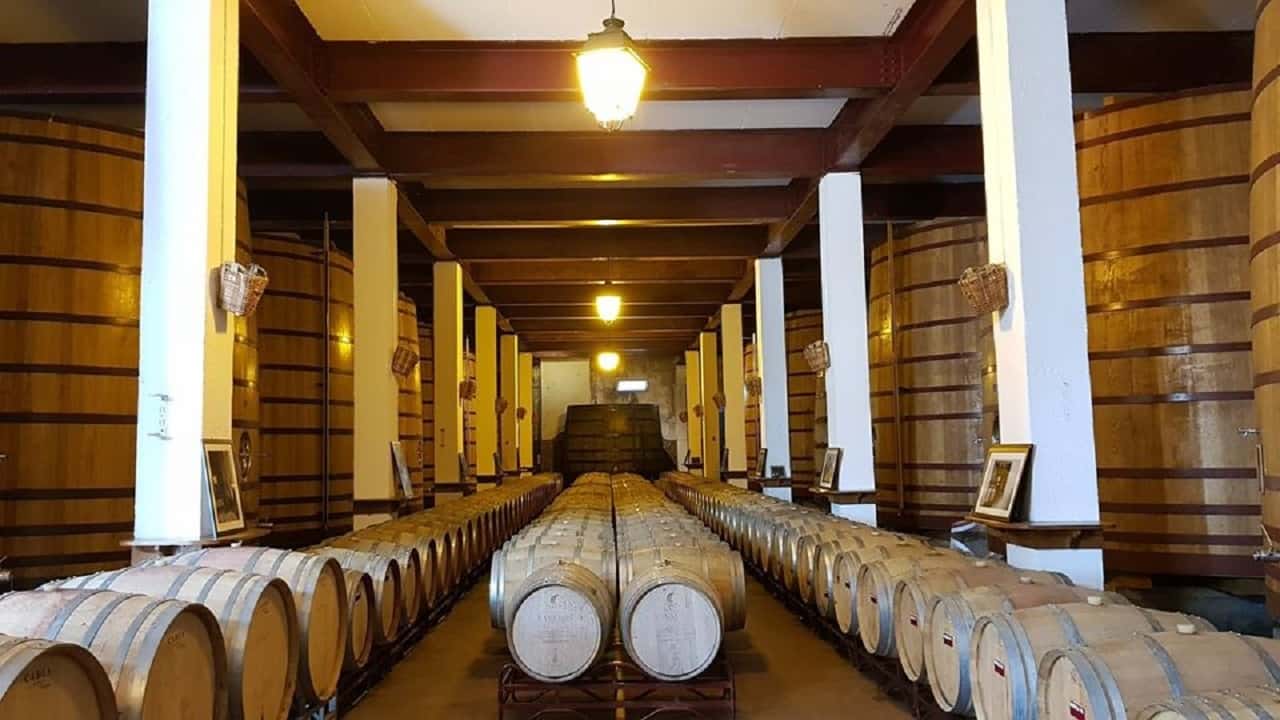 Colagem de mídia