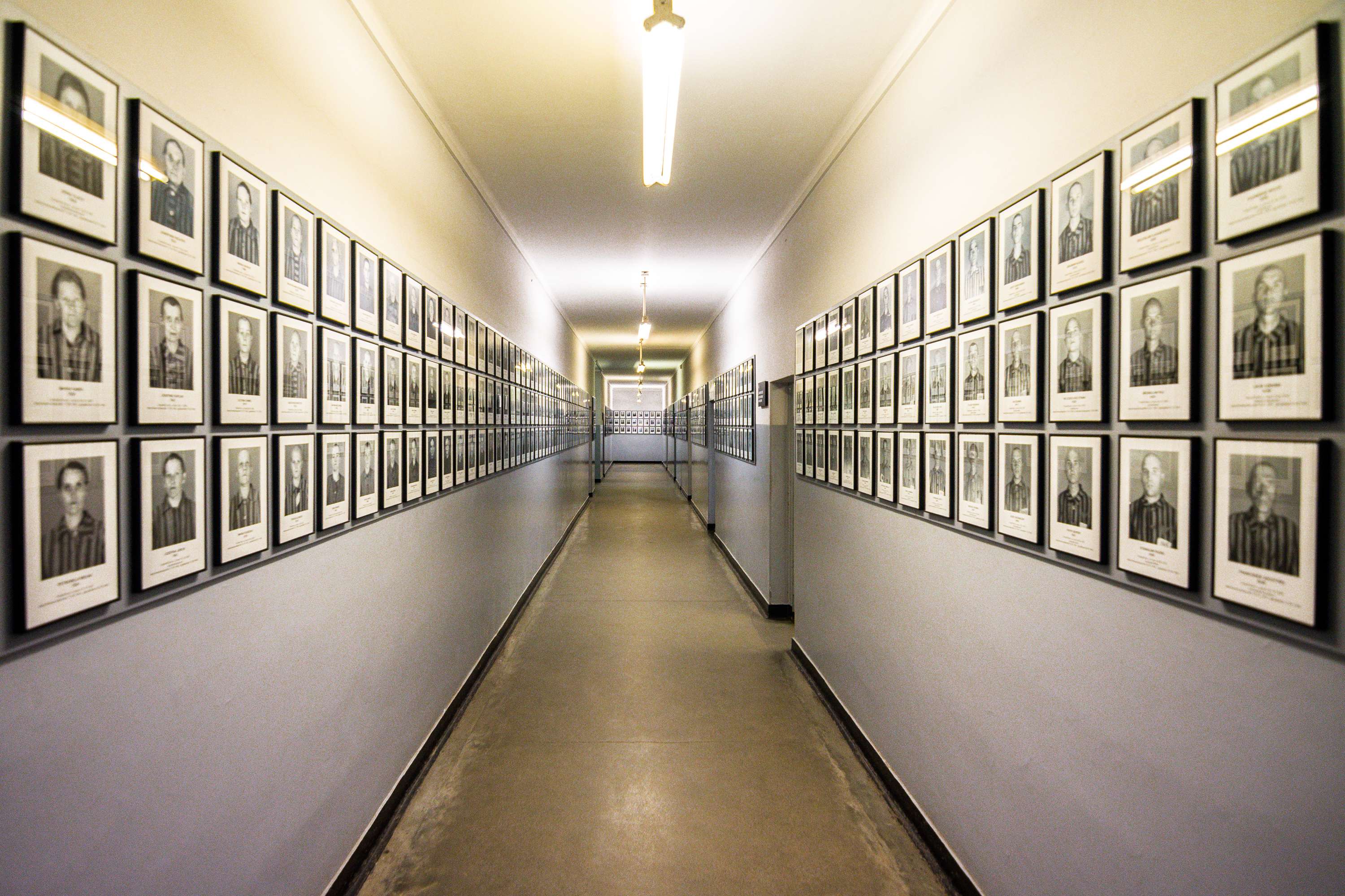 Galerie média