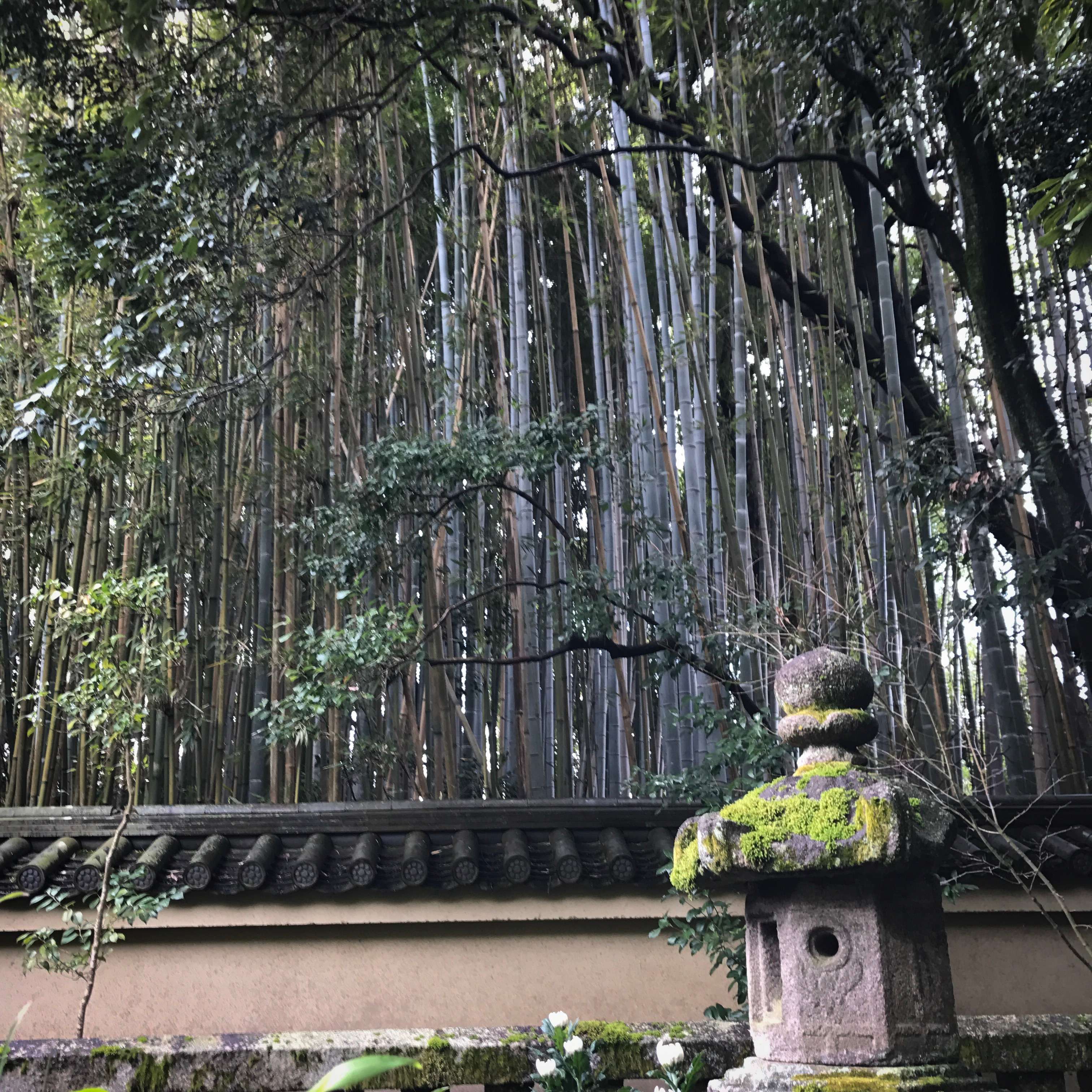 メディア コラージュ