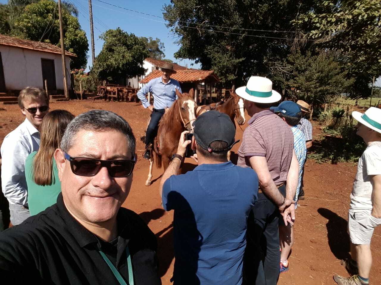 Colagem de mídia