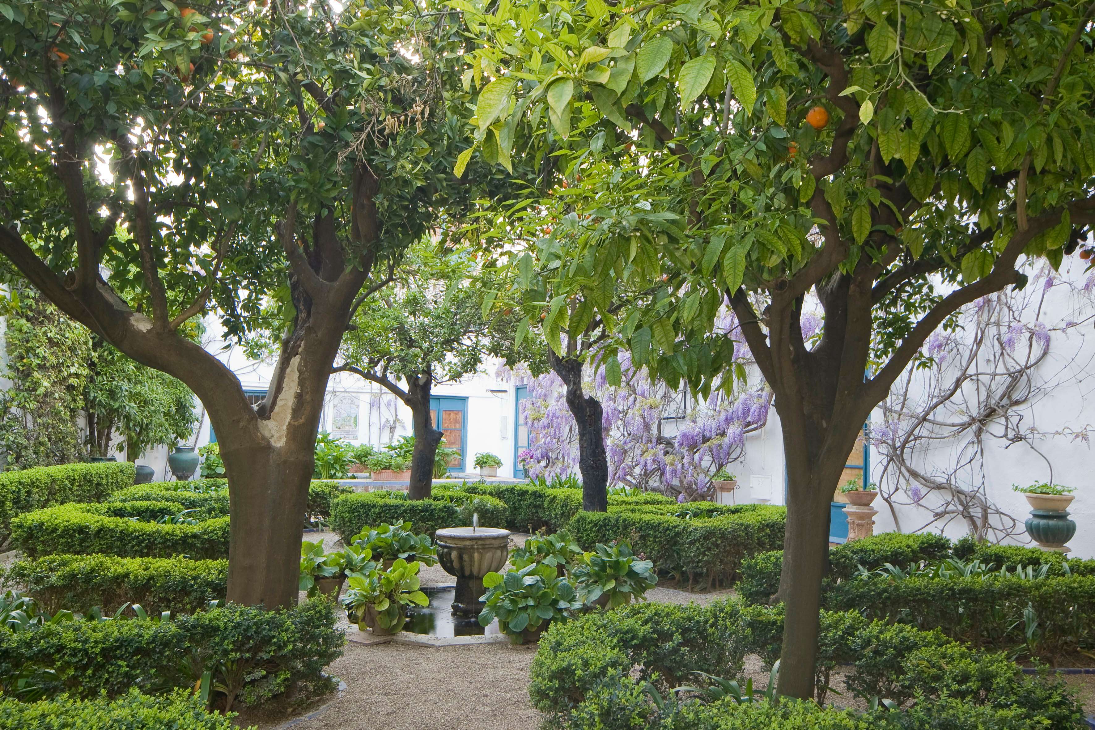 Galerie média