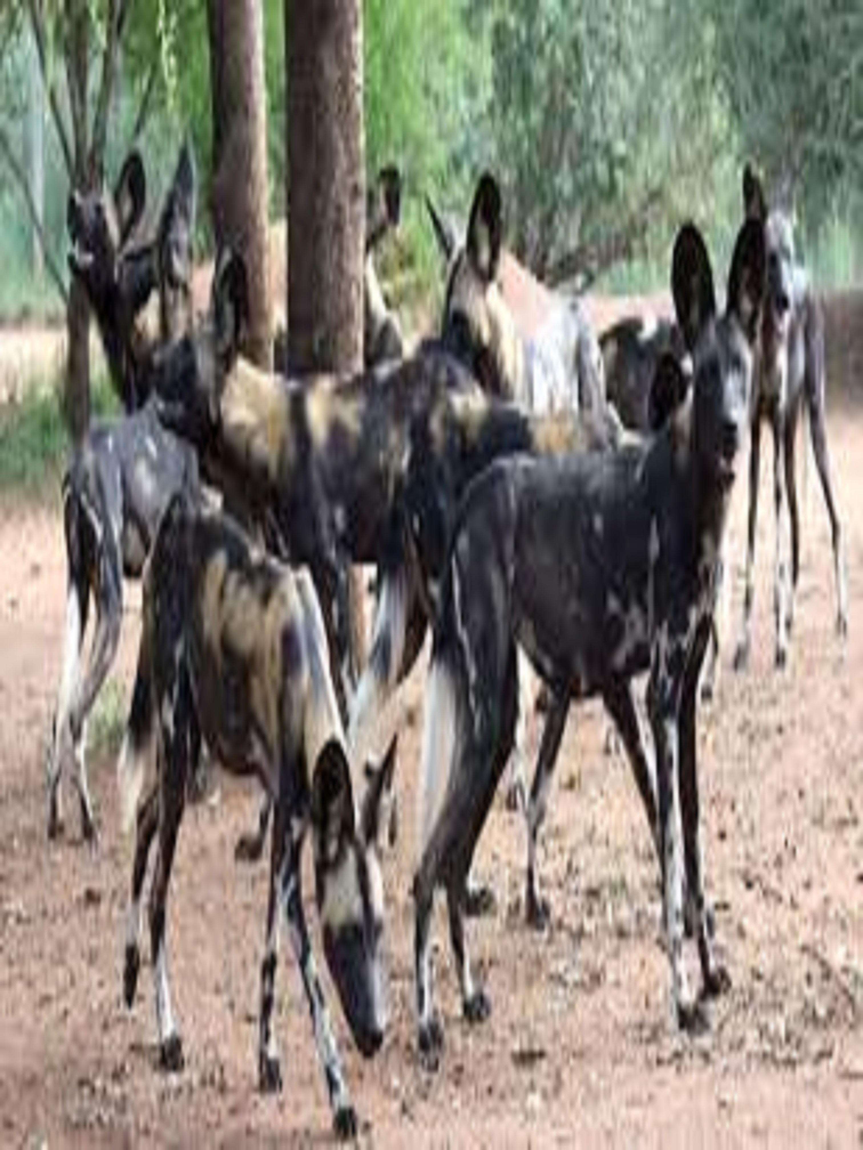 Colagem de mídia