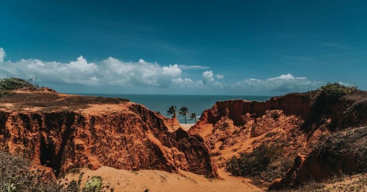 Galería de fotos para redes