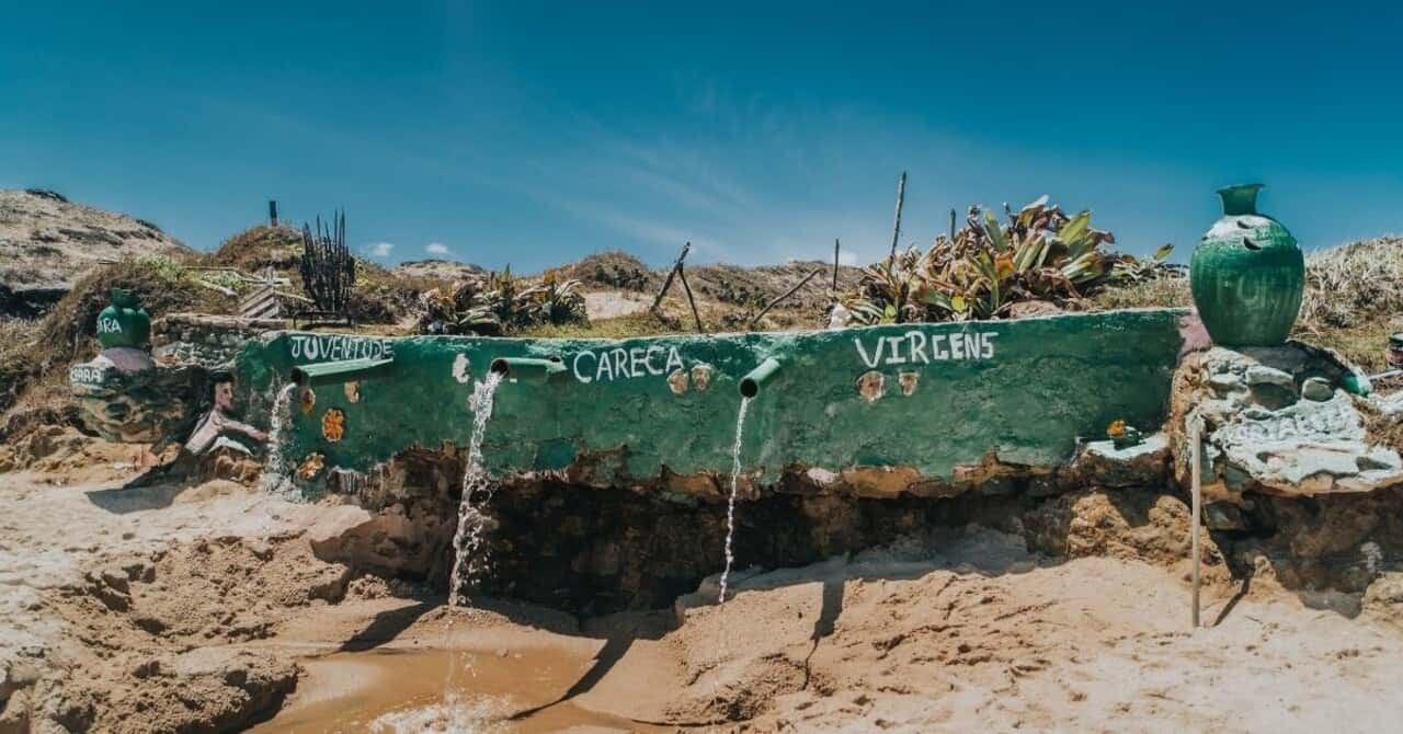 Galería de fotos para redes