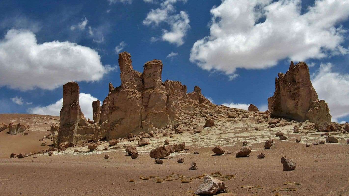 Galería de fotos para redes
