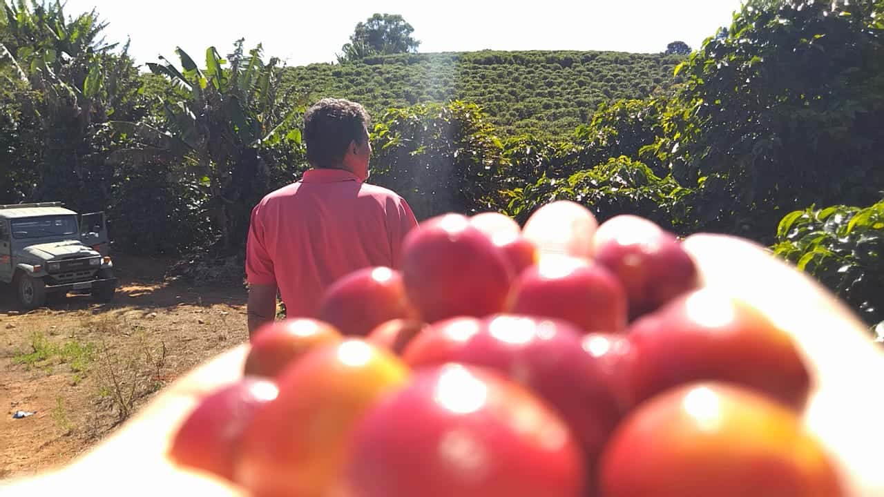 Colagem de mídia