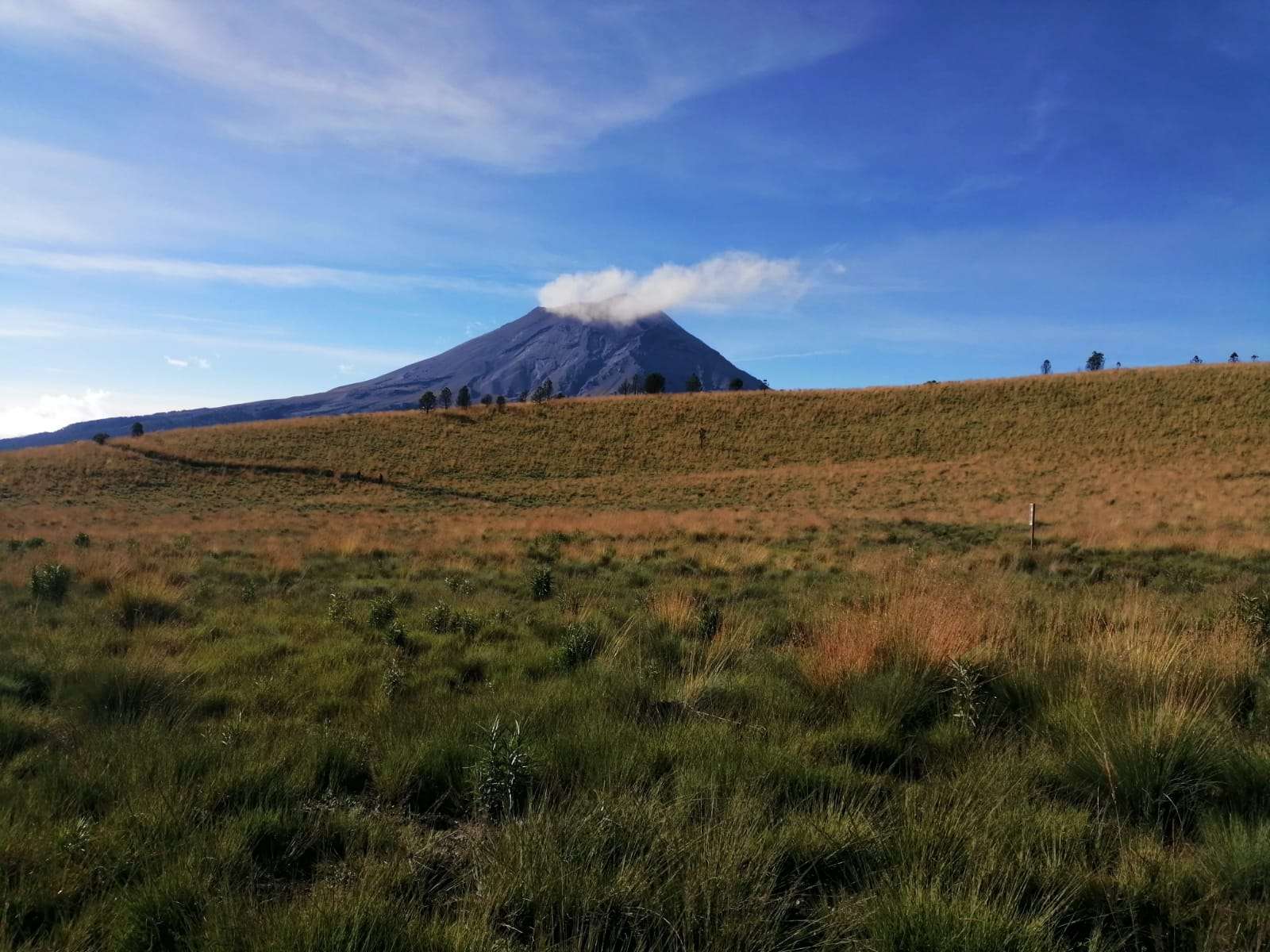 Colagem de mídia