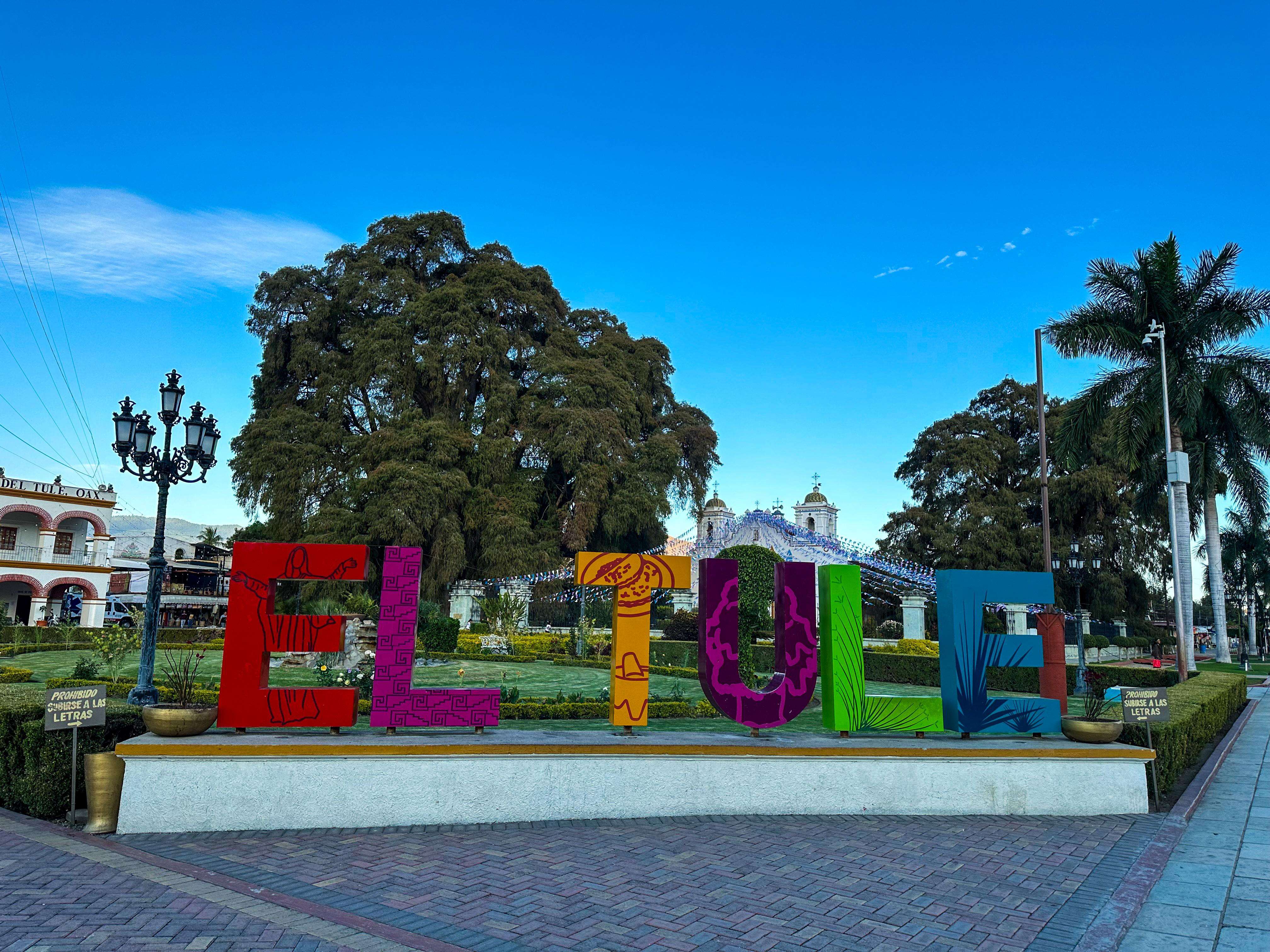 Galería de fotos para redes