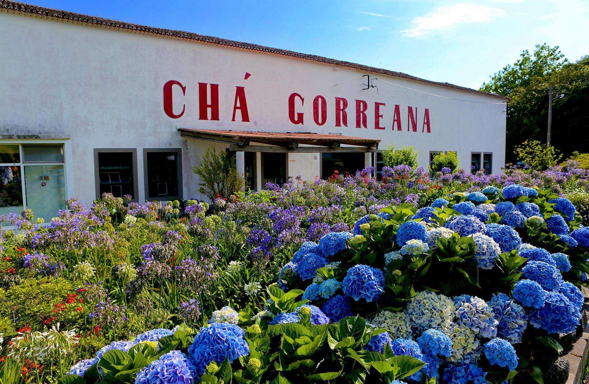 Colagem de mídia