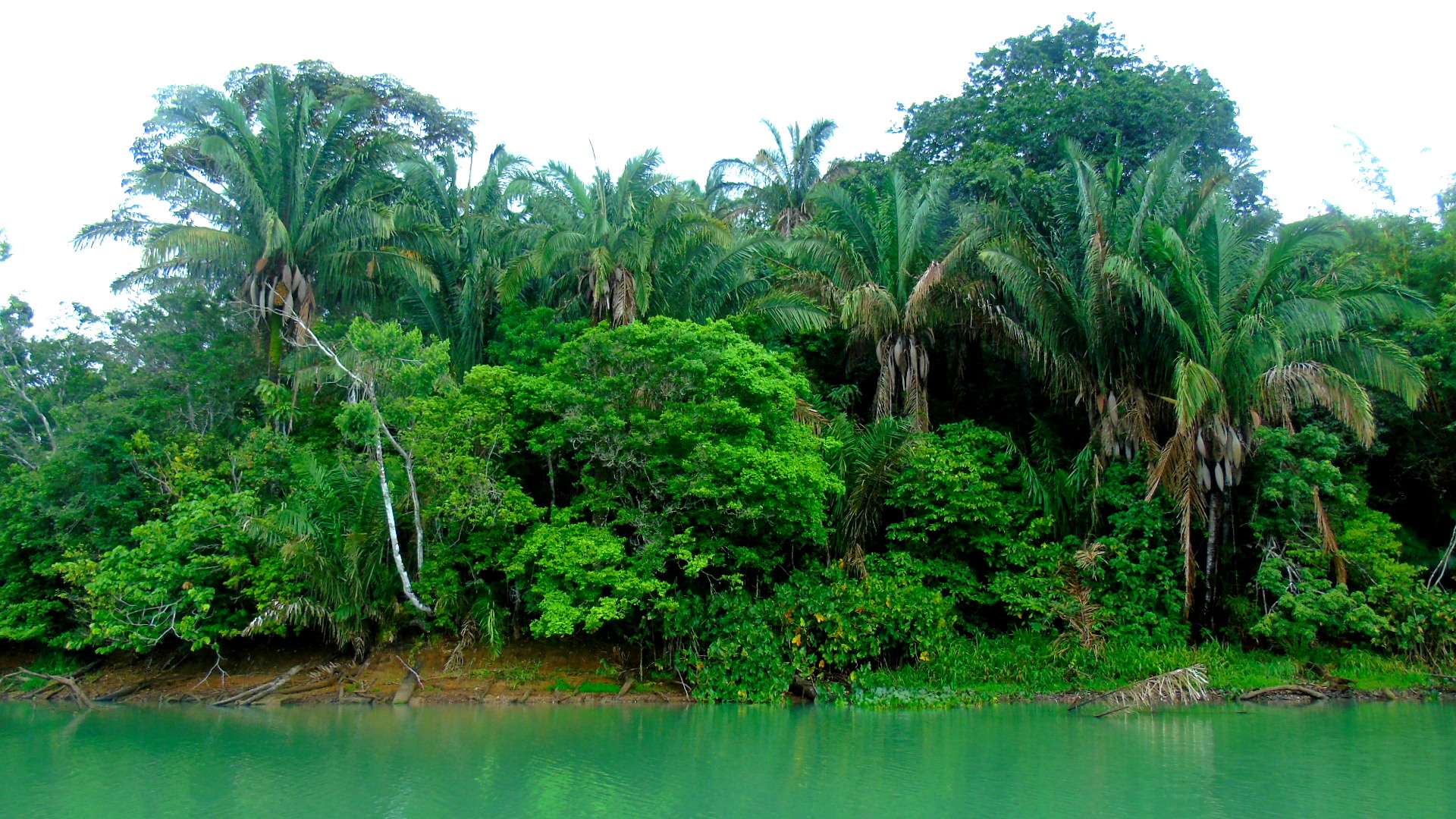 Colagem de mídia