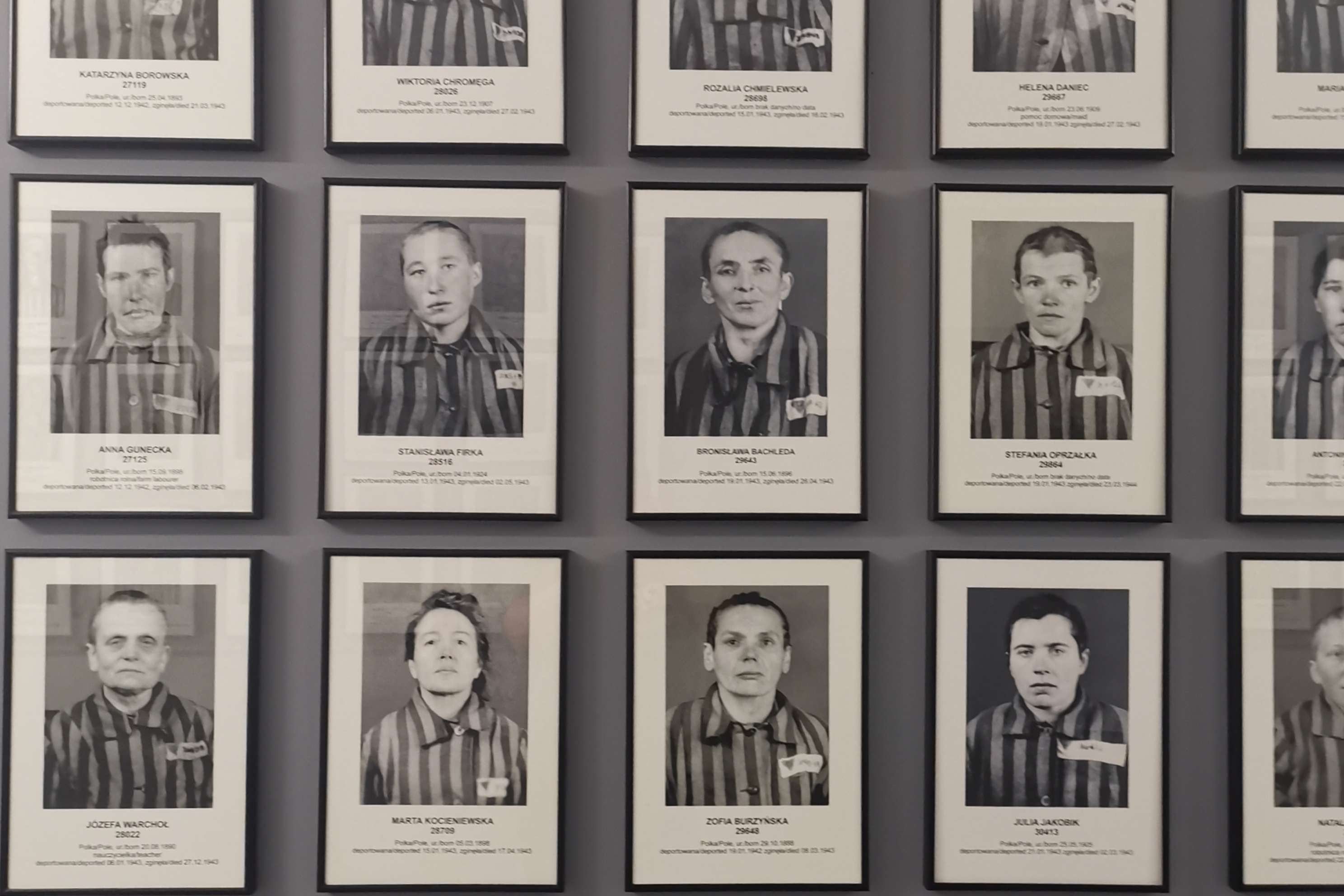 Galerie média