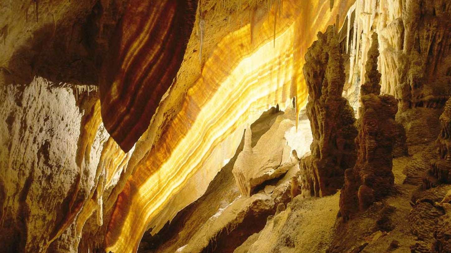 Galerie média