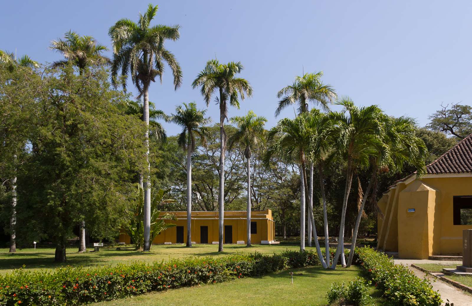 Colagem de mídia