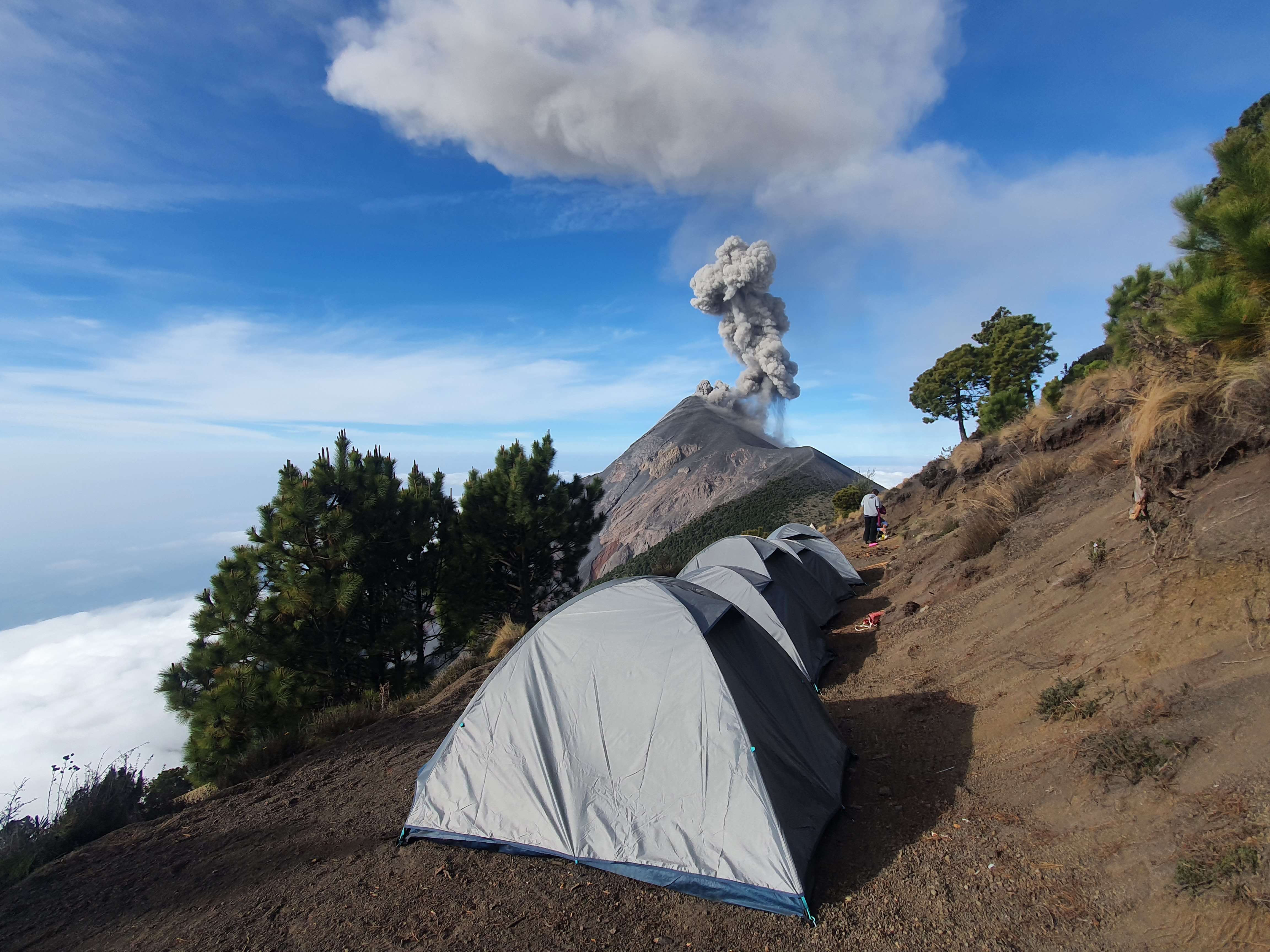 Galería de fotos para redes