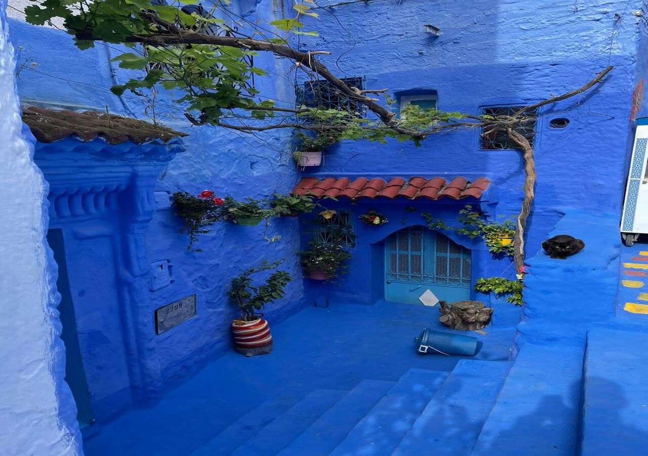 Colagem de mídia