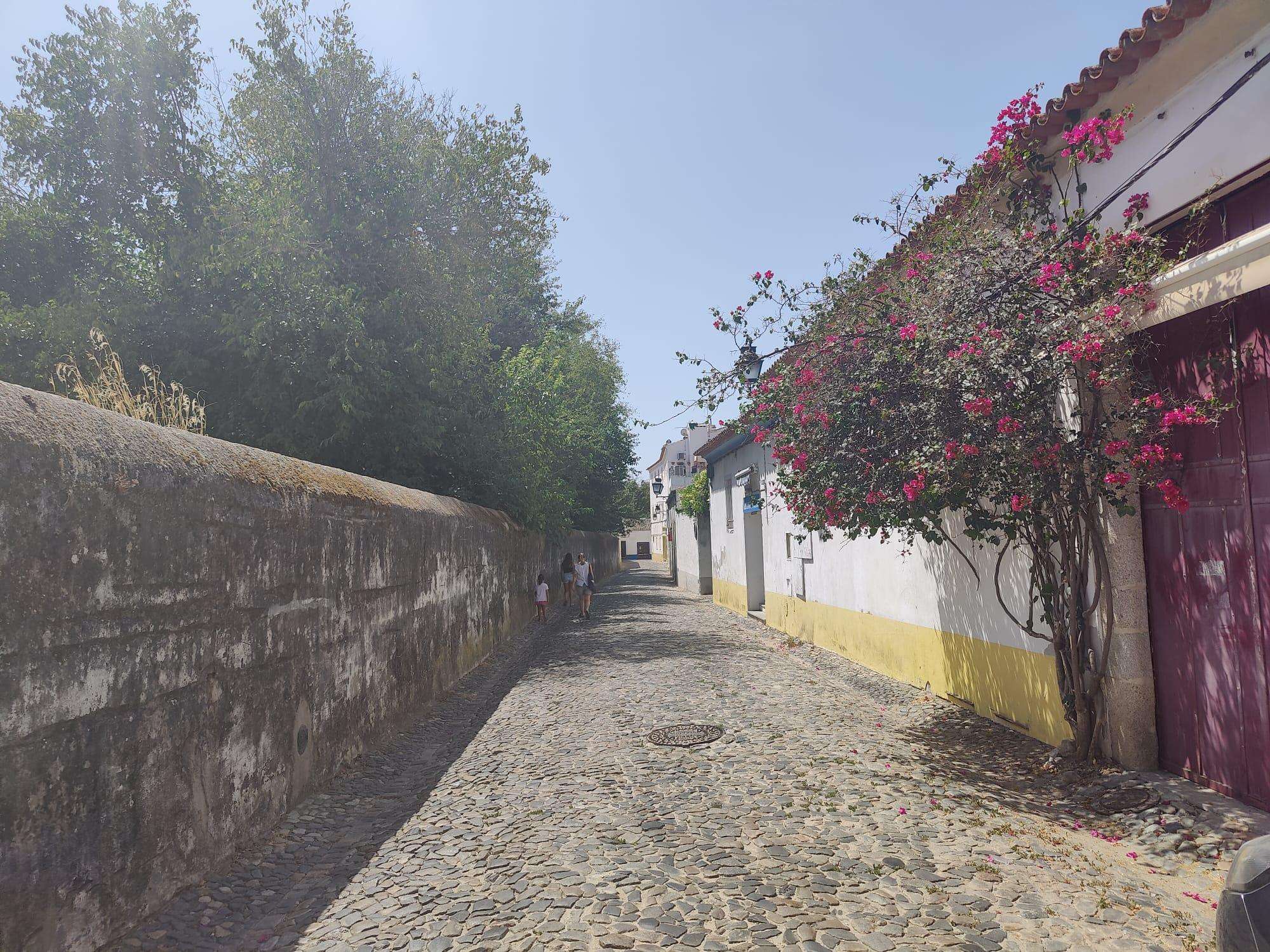 Colagem de mídia