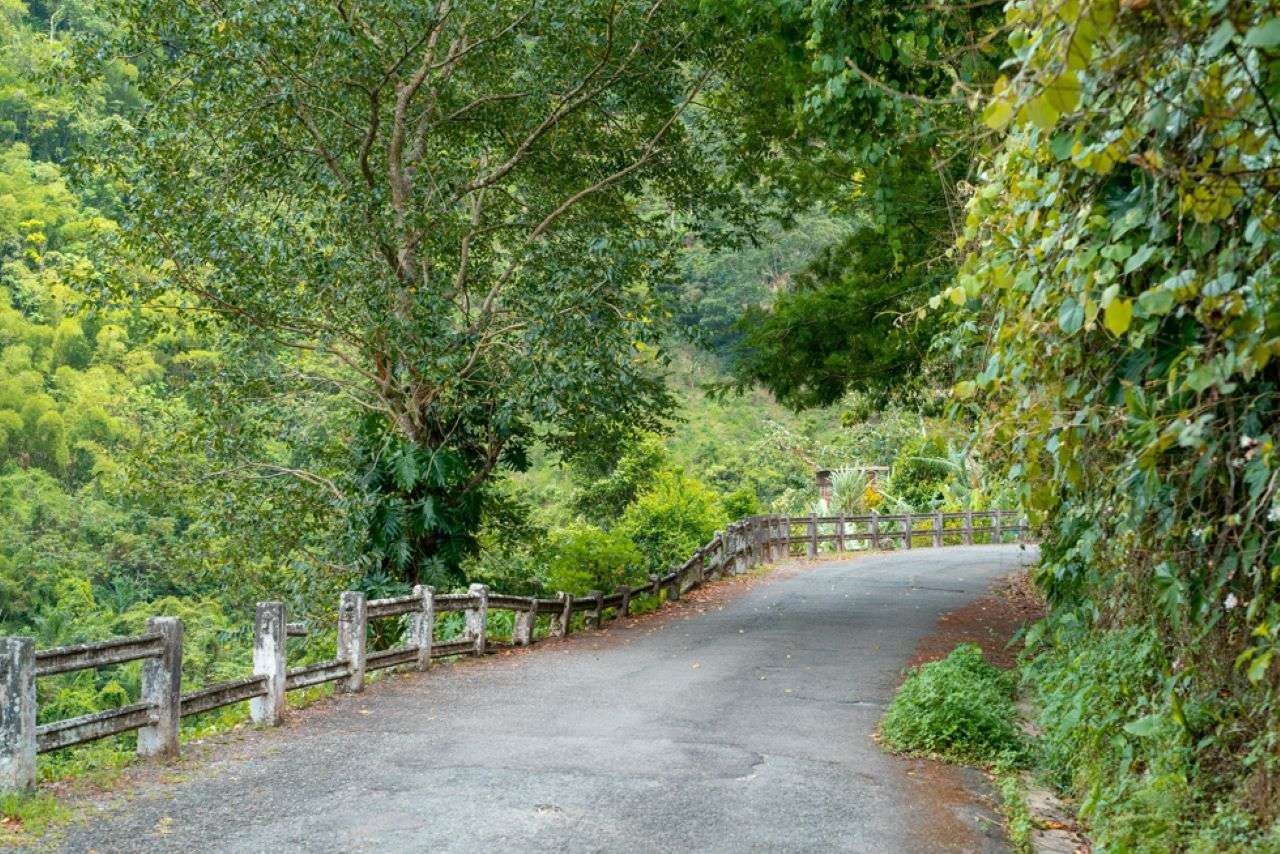 Colagem de mídia