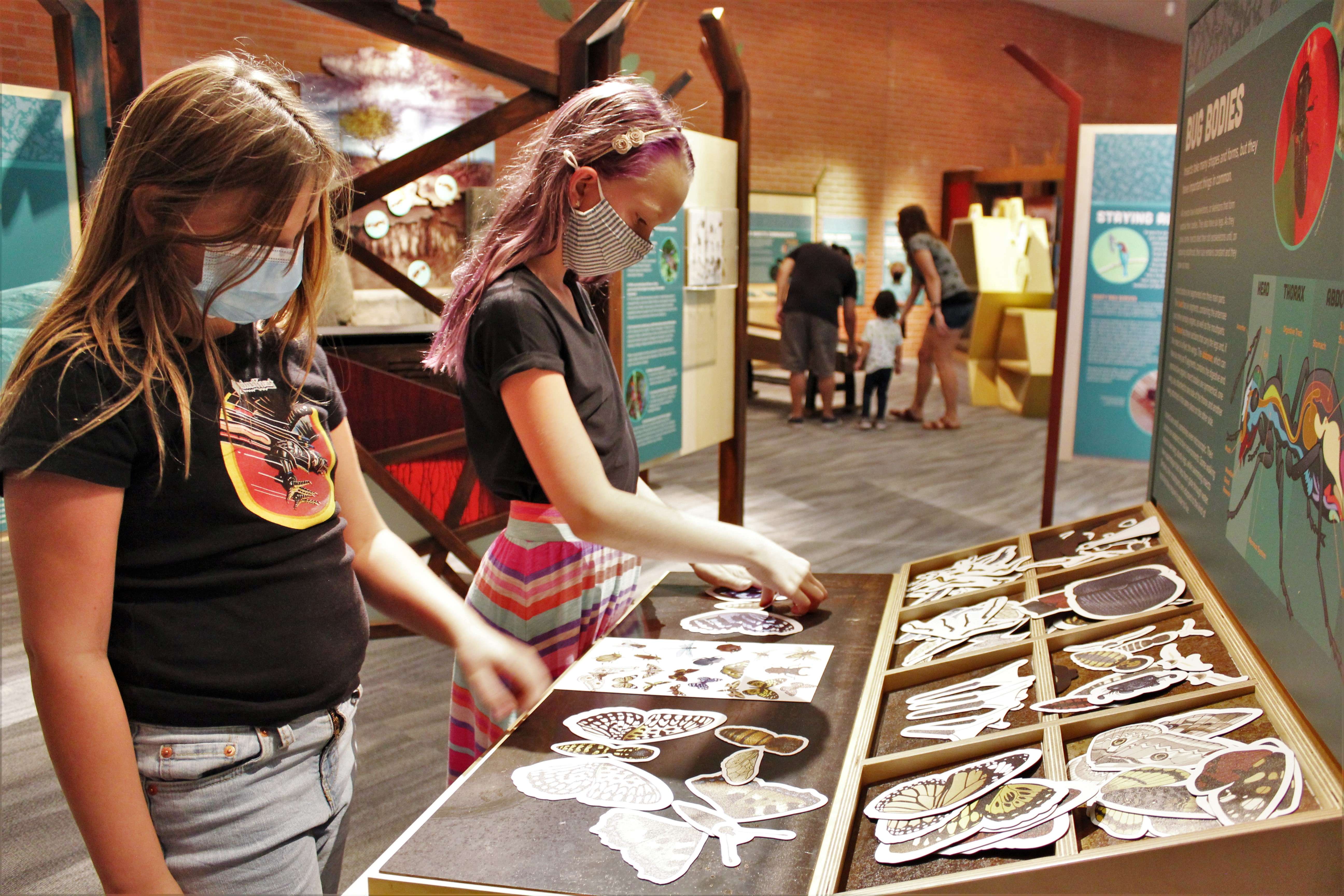 Tucson: Flandrau Science Center Entry Ticket | GetYourGuide