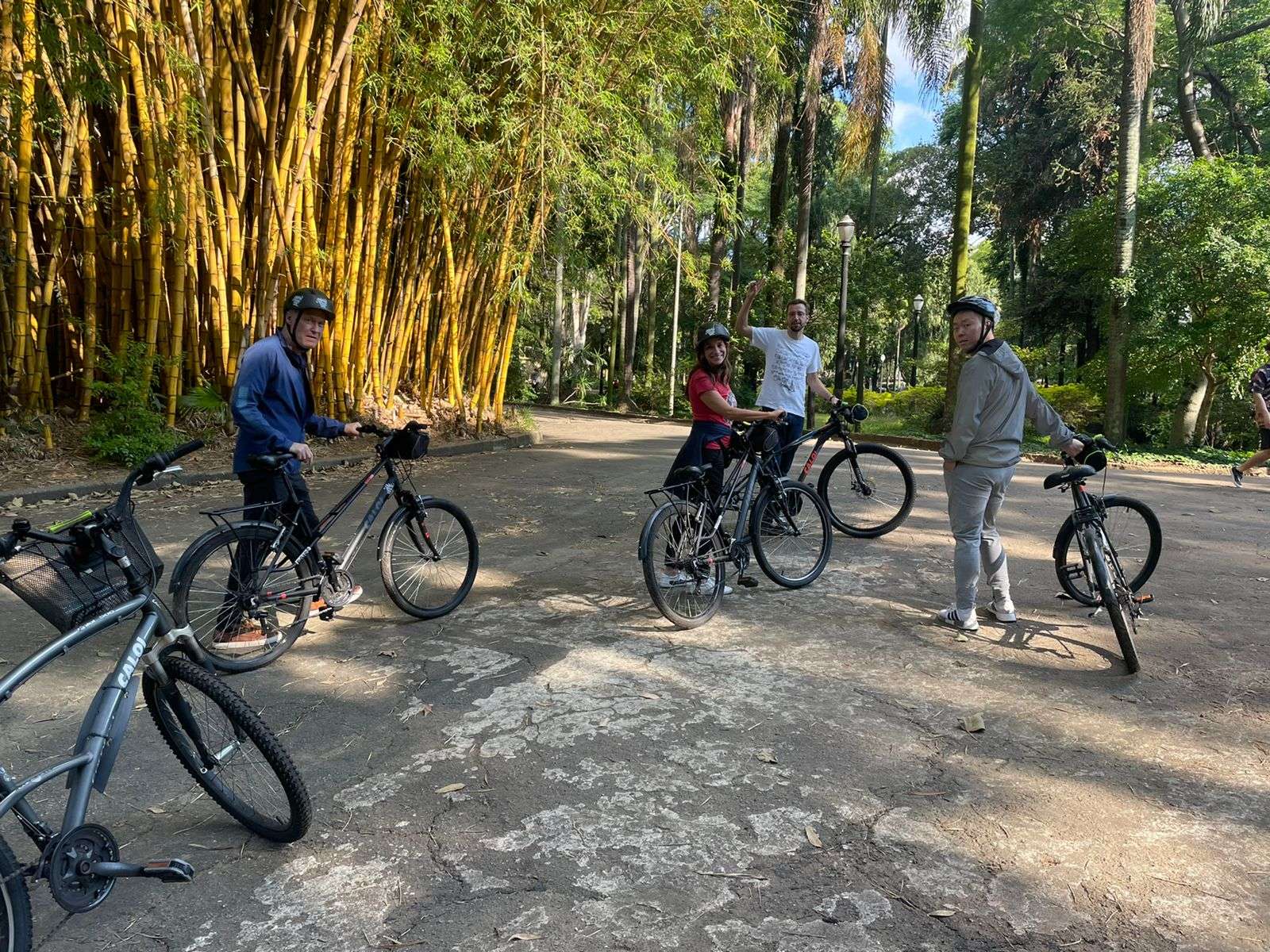 Colagem de mídia
