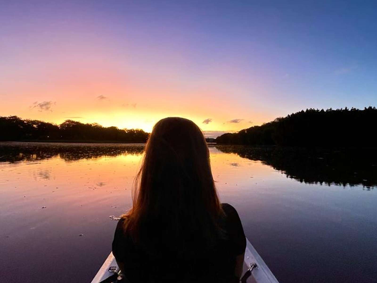Galería de fotos para redes