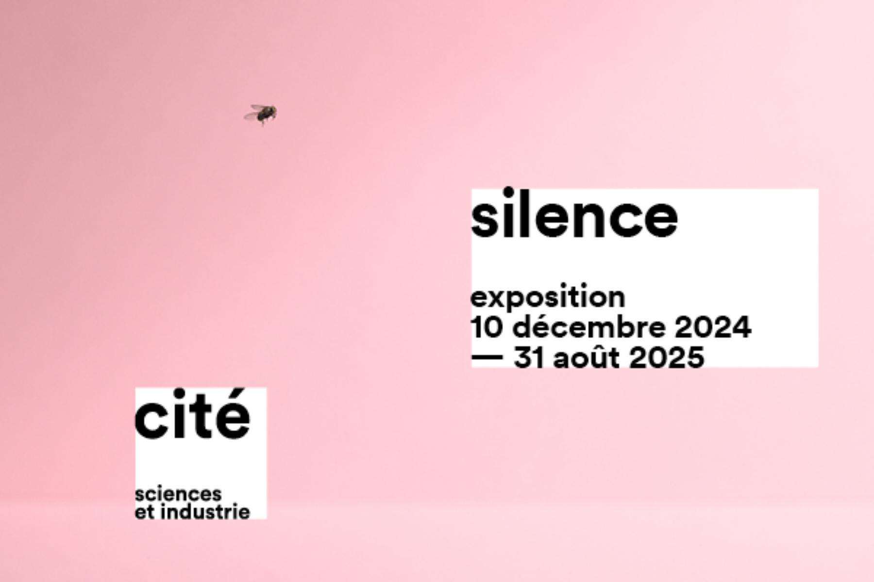 Galerie média