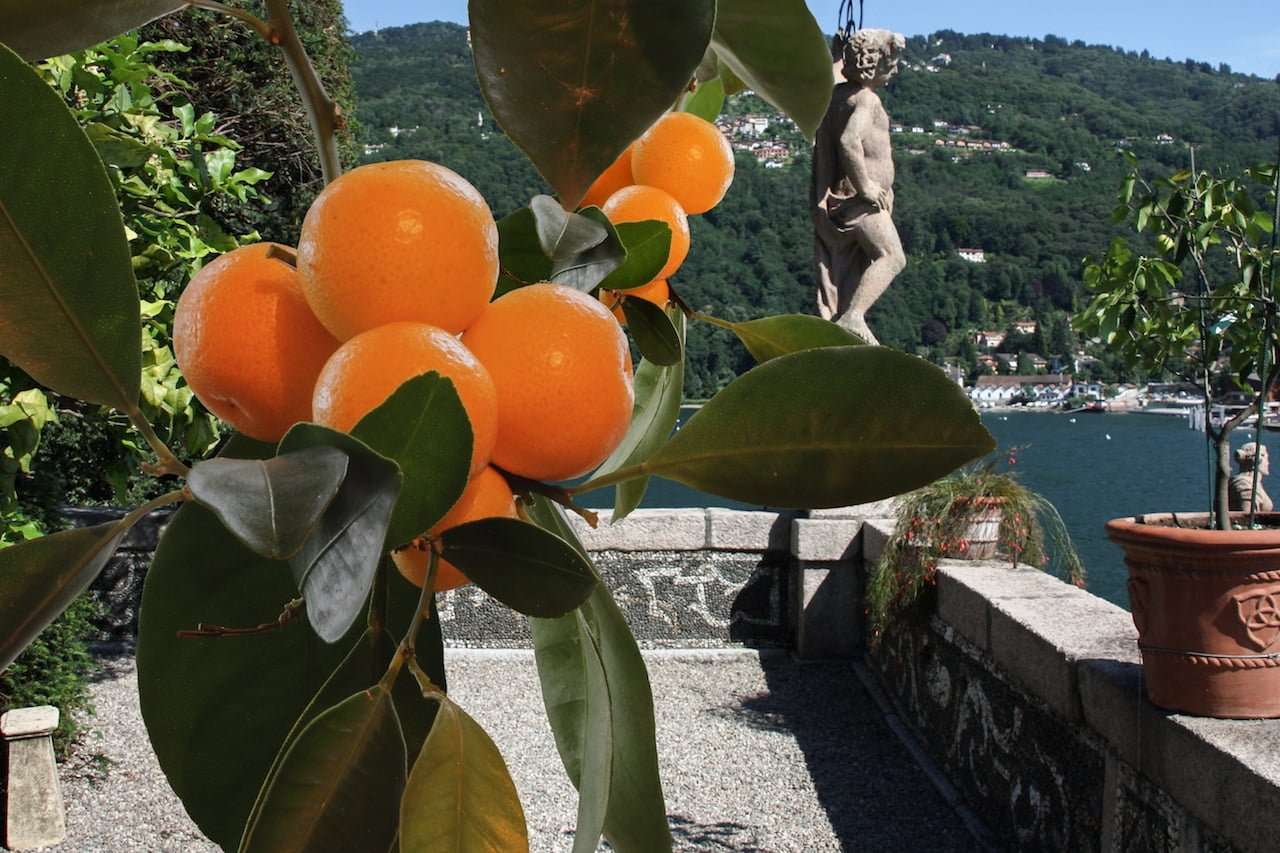 Collage di media