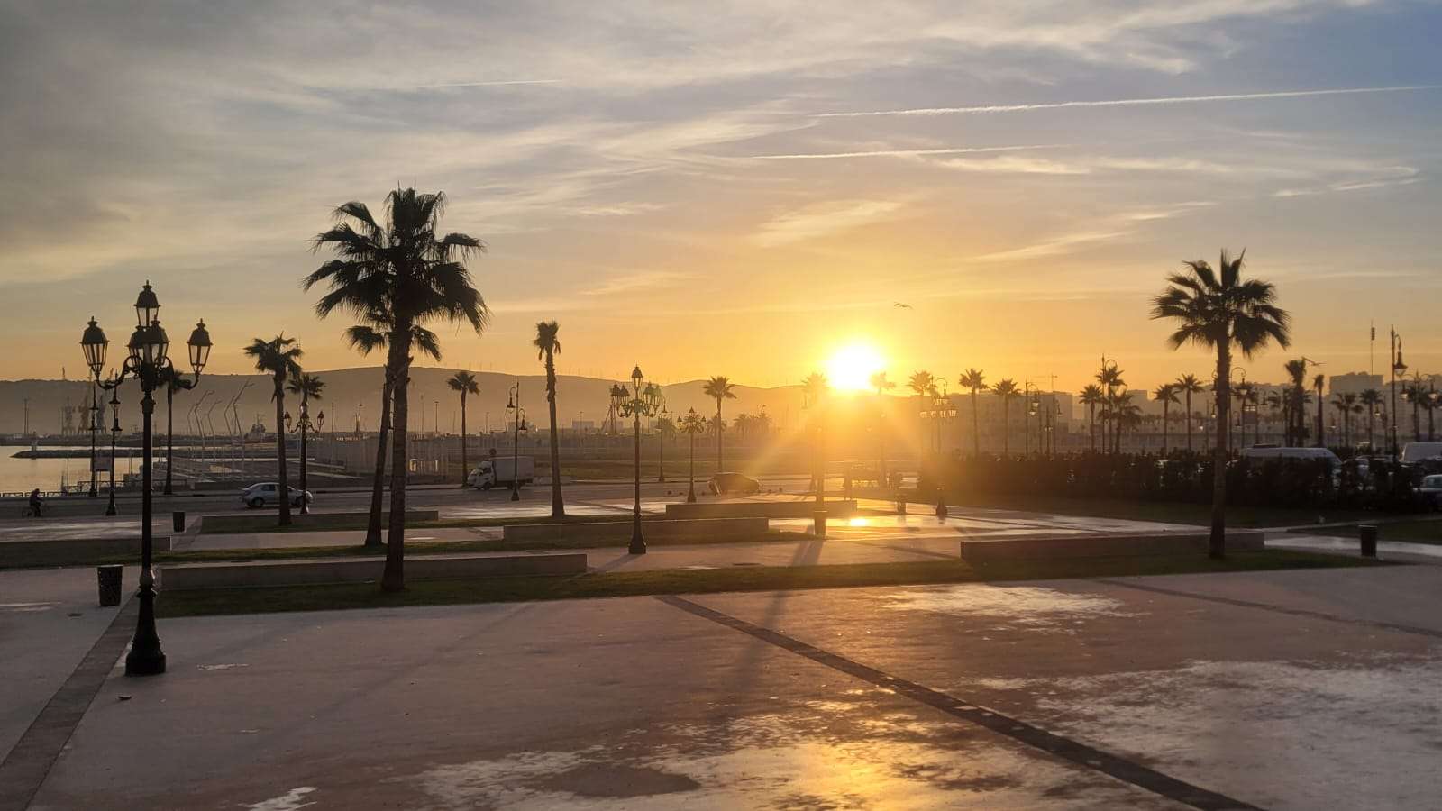 Galería de fotos para redes