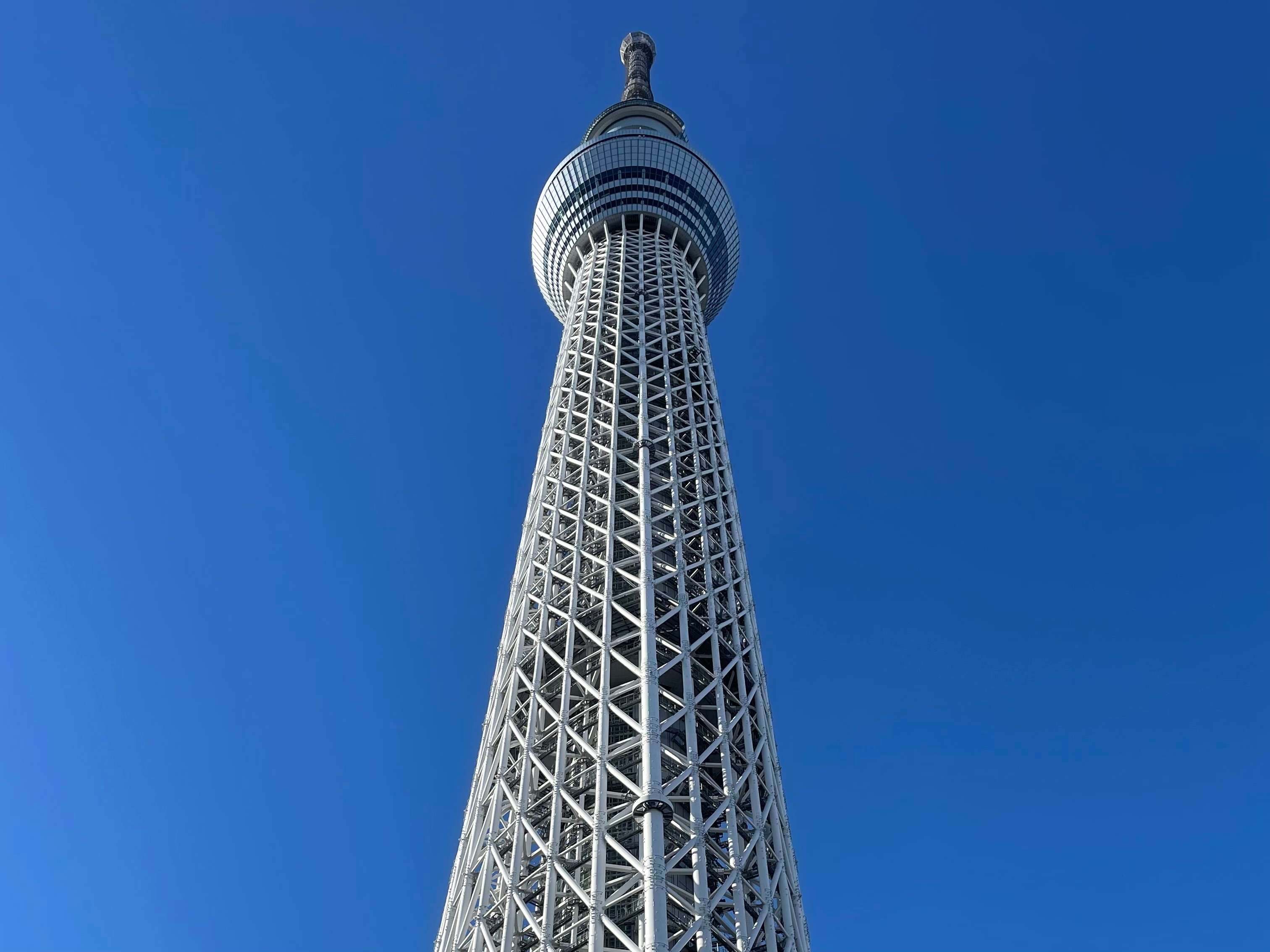 メディア コラージュ