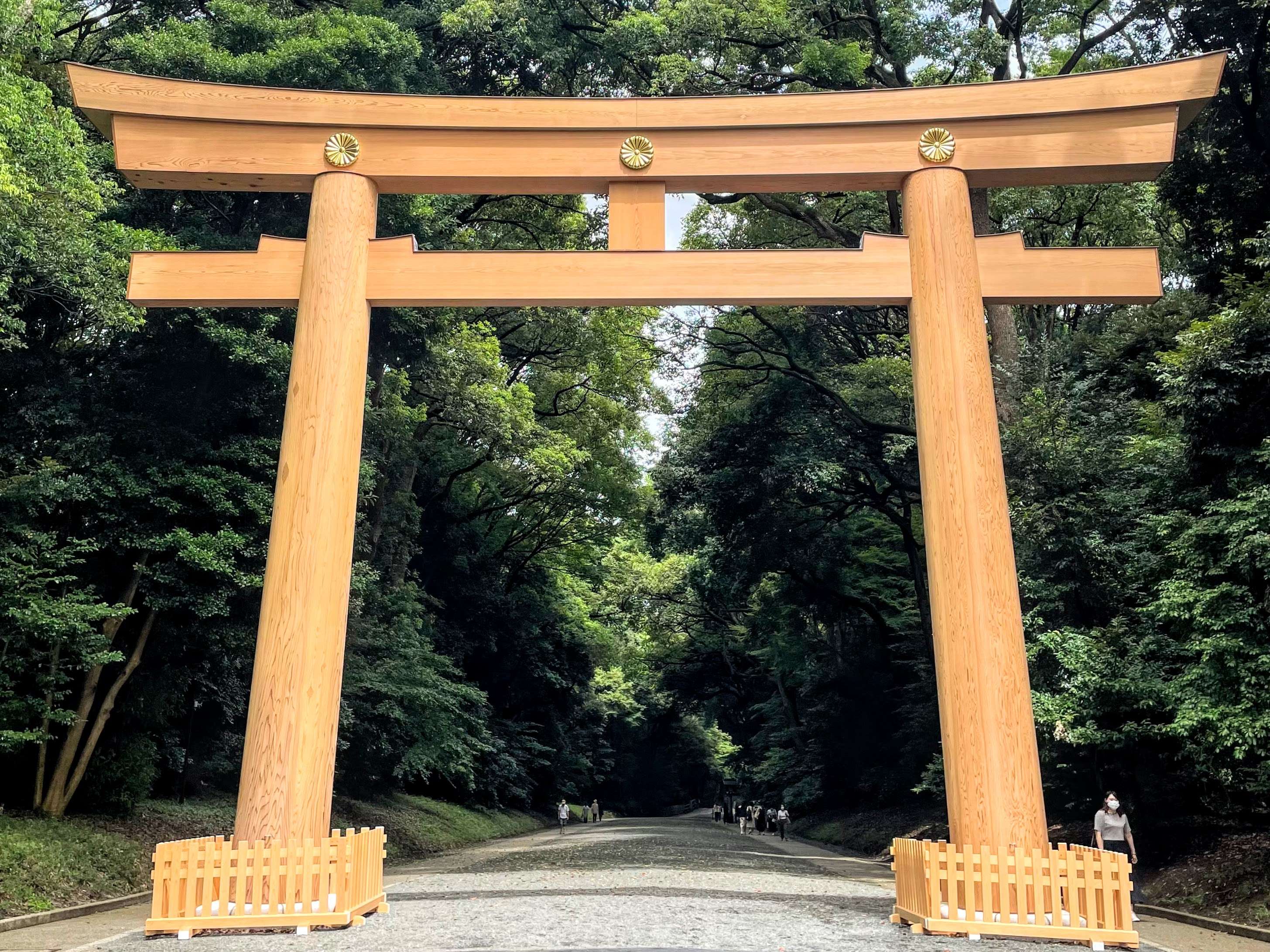 メディア コラージュ