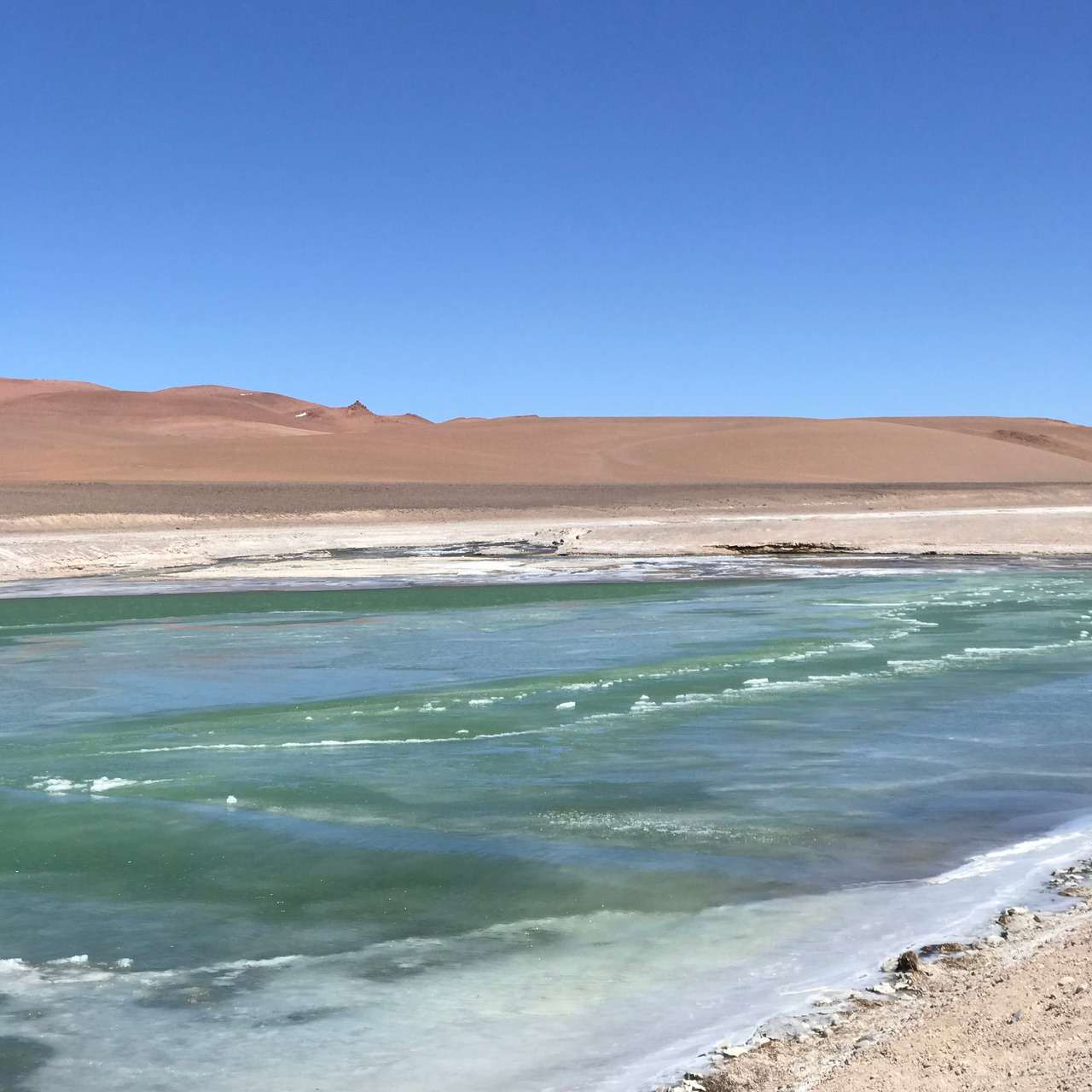 Galería de fotos para redes