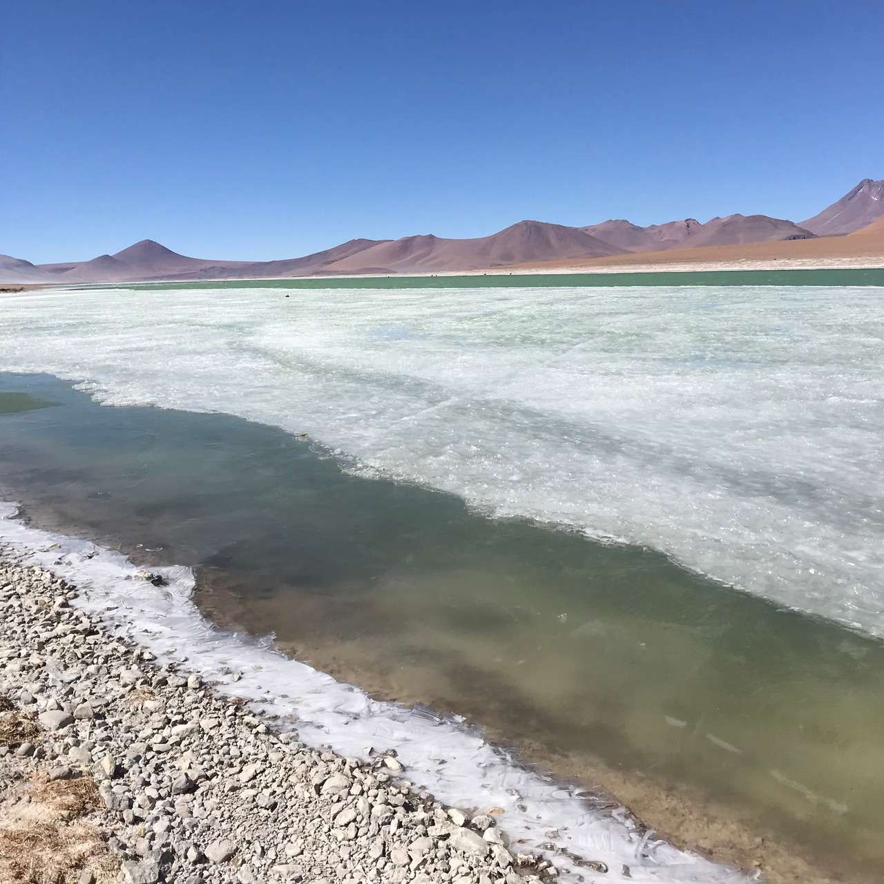 Galería de fotos para redes