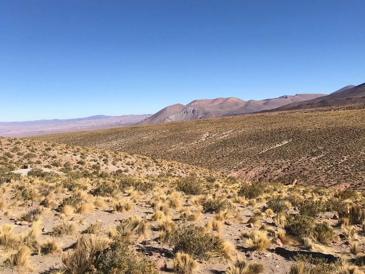 Galería de fotos para redes