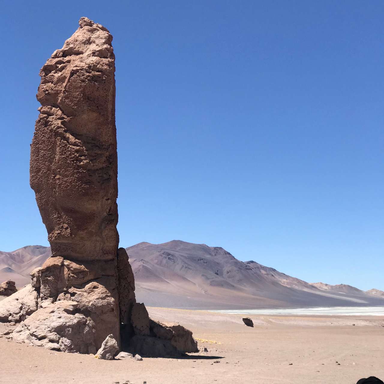 Galería de fotos para redes