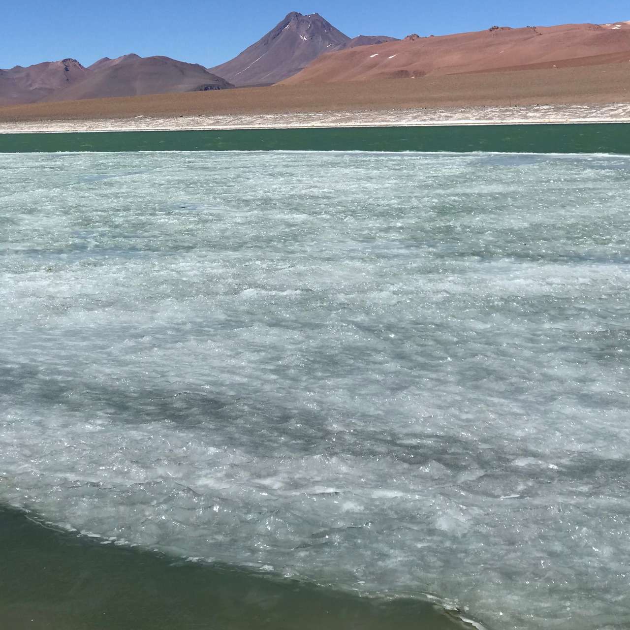 Galería de fotos para redes