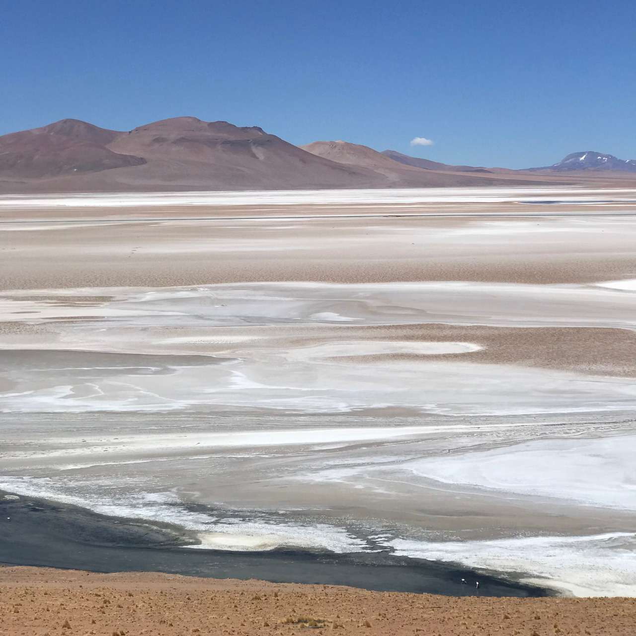 Galería de fotos para redes