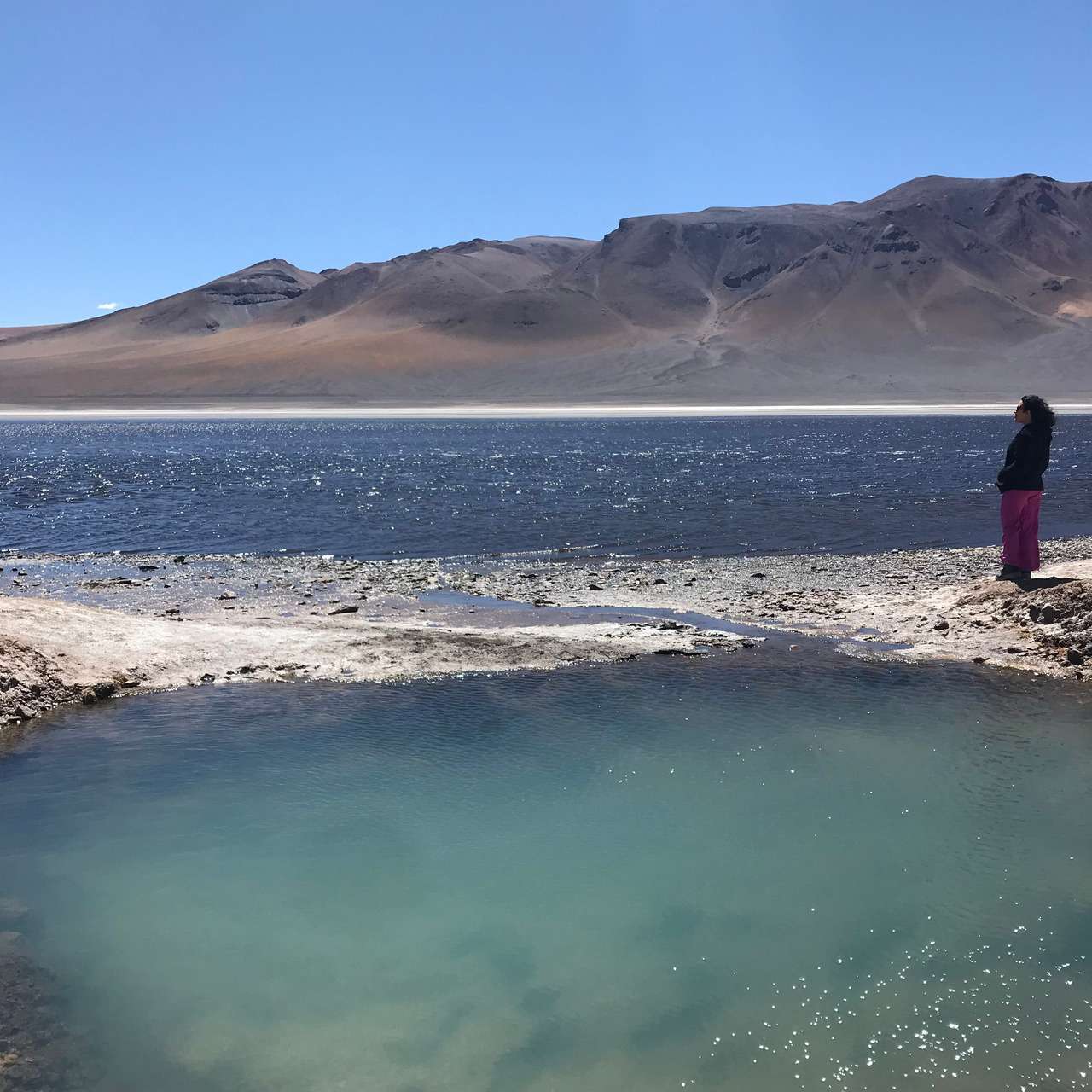 Galería de fotos para redes