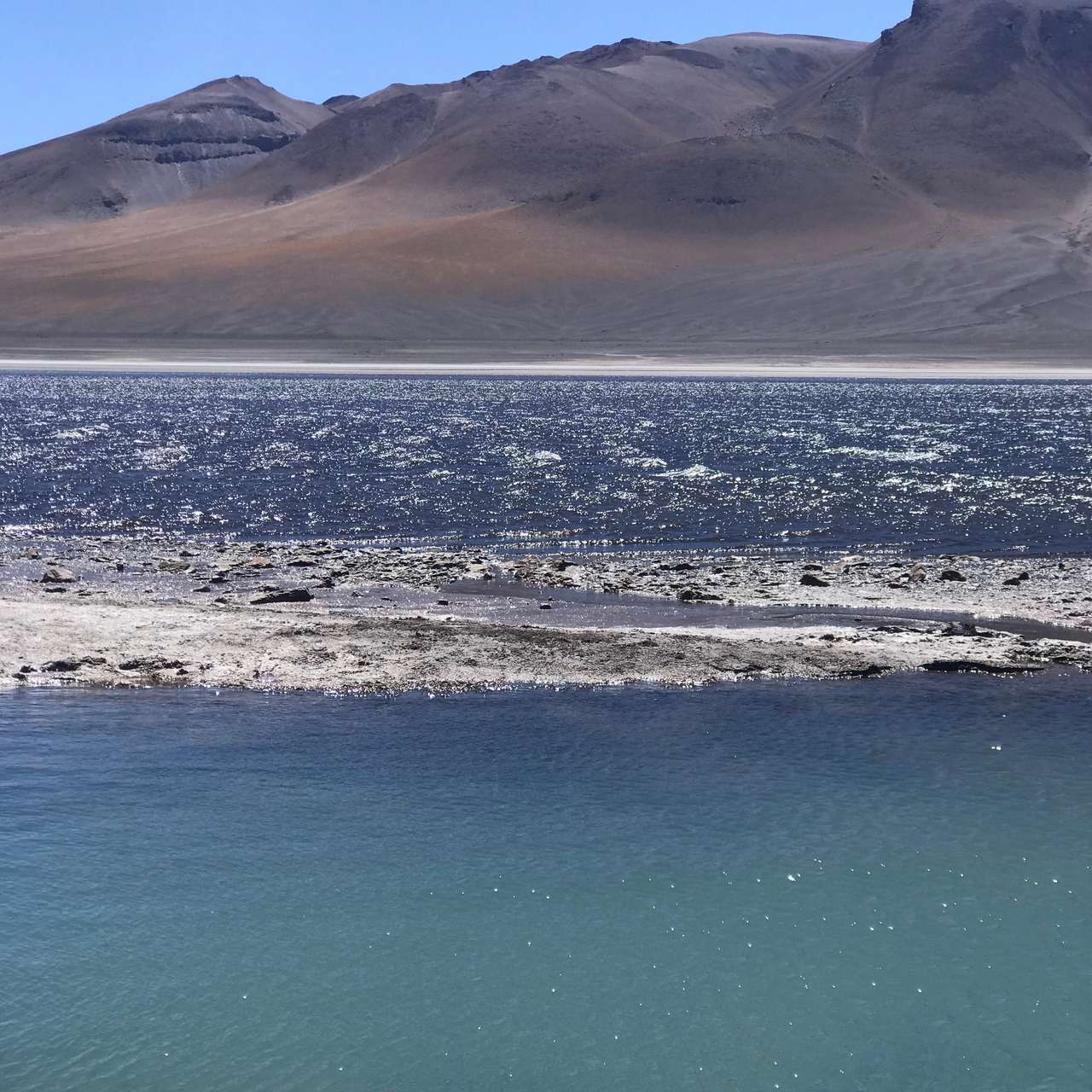 Galería de fotos para redes