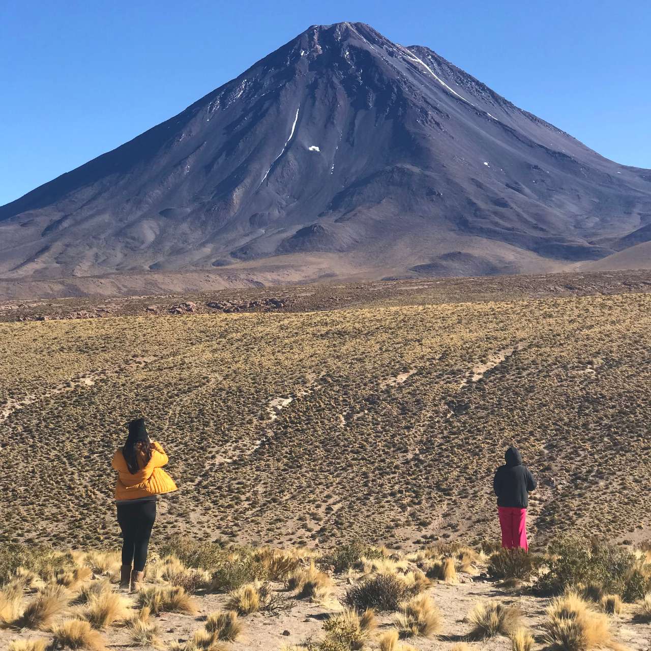 Galería de fotos para redes