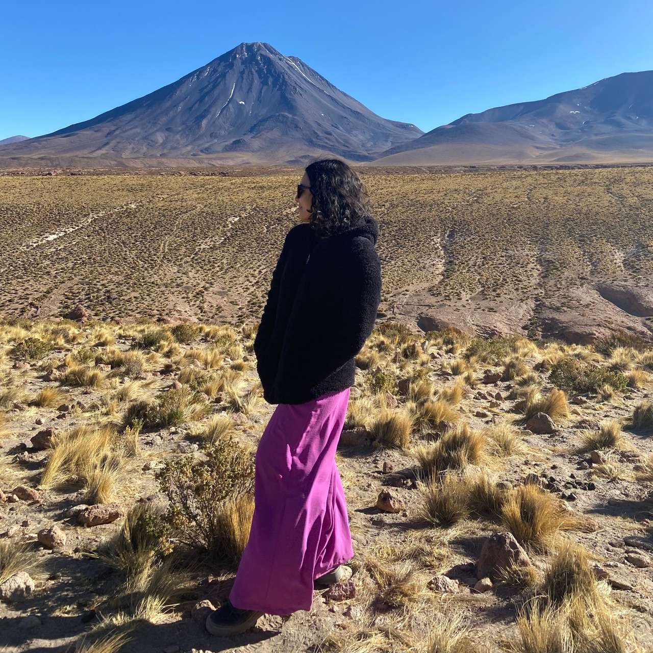 Galería de fotos para redes
