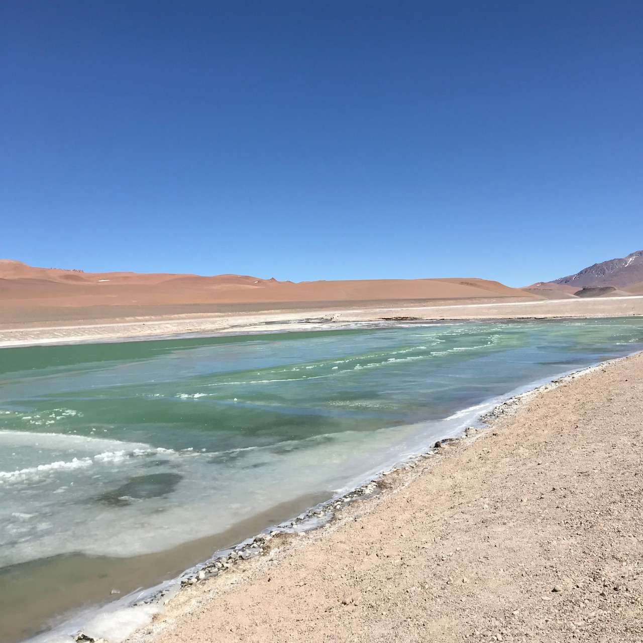 Galería de fotos para redes