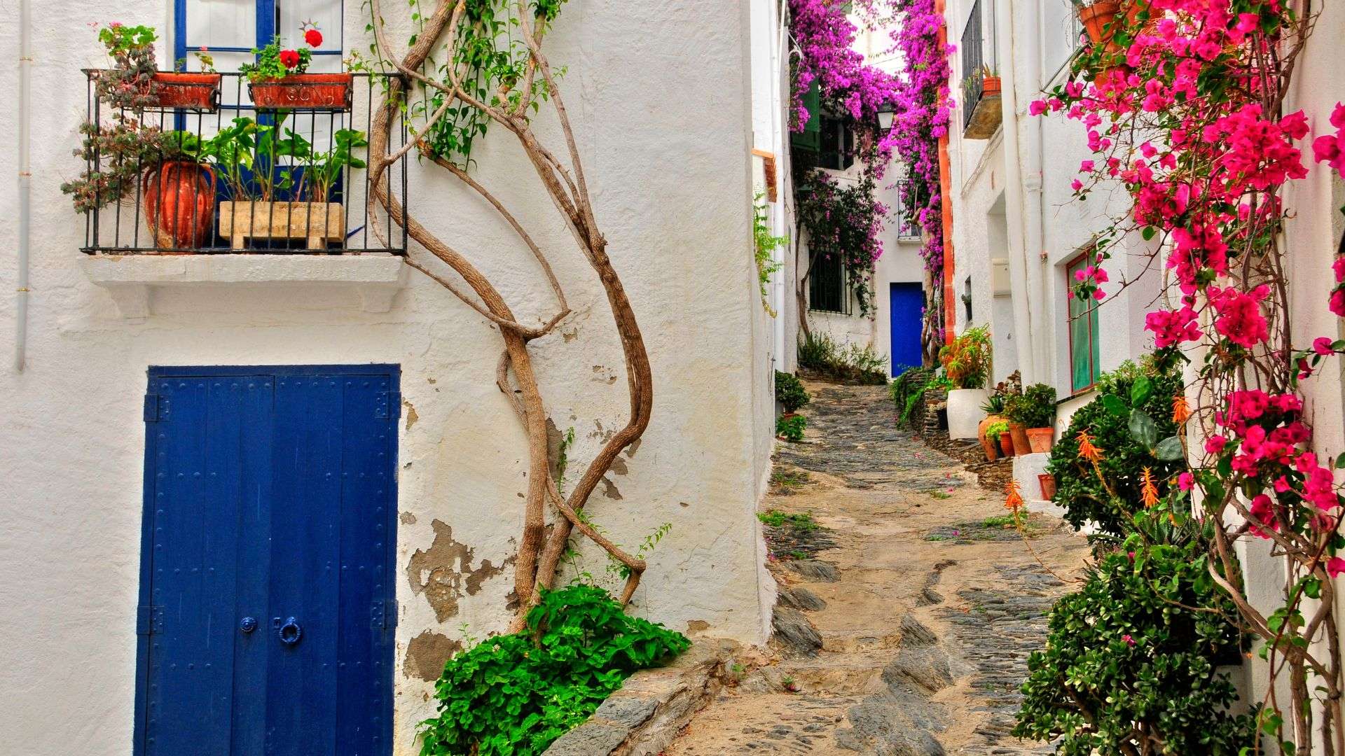 Galería de fotos para redes